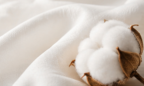 Alen Home Textile Co., Ltd.